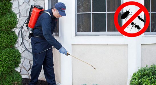 Hizan Fare İlaçlama böcek ilaçlama ve haşere kontrolü — ilaclama-tr.com